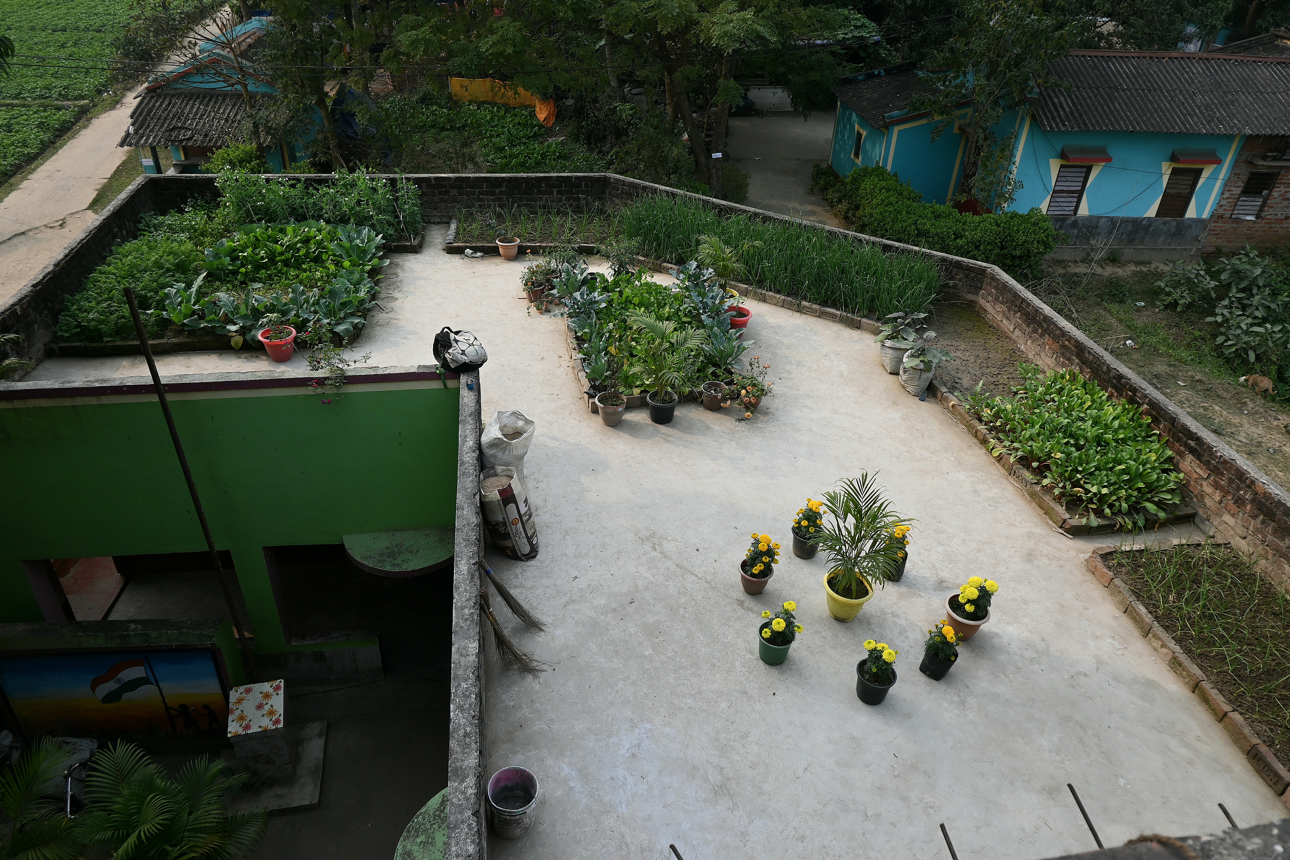 kitchen garden in School