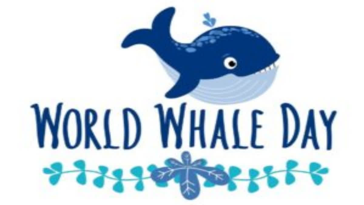 World Whale Day is commemorated every year on the third Sunday of February. This is a day to honor these aquatic animals who play a vital role in the ecosystem.