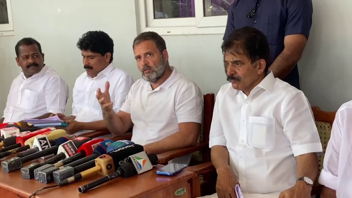 Rahul Gandhi at Wayanad  Rahul Gandhi press meet  വയനാട് വന്യജീവി ആക്രമണം  രാഹുൽ ഗാന്ധി വയനാട്ടിൽ  wild animal attack victims wayanad