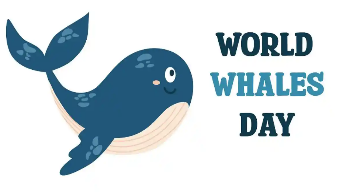 World Whale Day