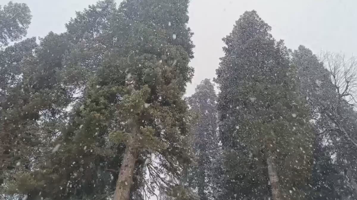 heavy-snowfall-starts-in-upper-reaches-in-kashmir