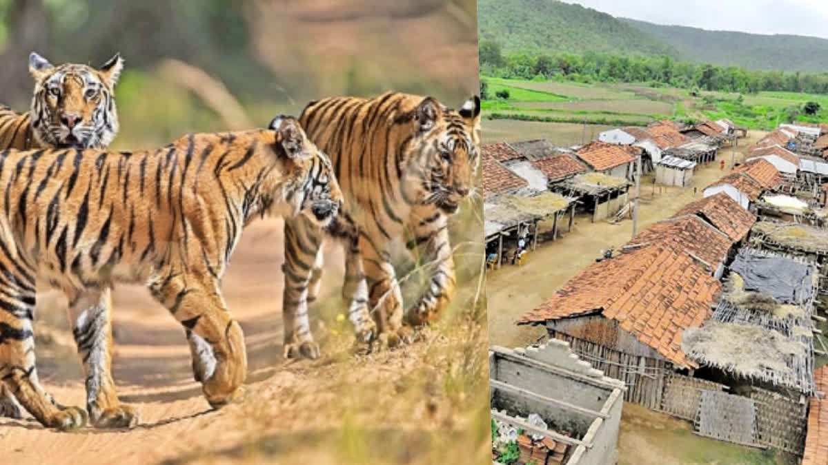 Kawal Tiger Reserve Adilabad