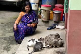 Love for Street Cats
