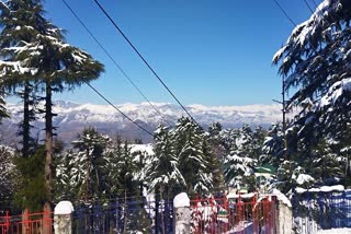 Himachal Weather Update