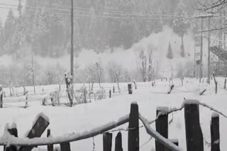 Fresh Snowfall in Kashmir Ahead of Khelo India Winter Games