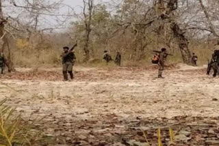 A Chhattisgarh Armed Force (CAF) personnel was killed by Naxalites at a village market in Chhattisgarh's Bijapur on Sunday, police said.