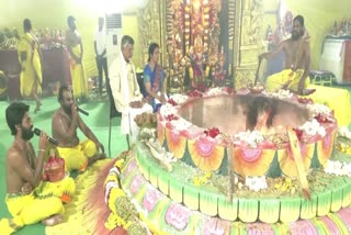 raja shyamala yagam