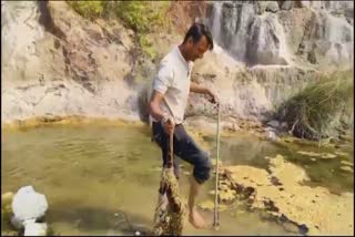 python trapped fishing net