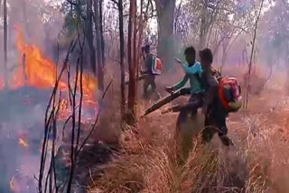 Fire in Amrabad Tiger Reserve Forest