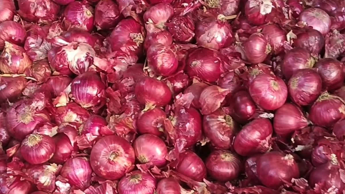 Farmers and exporters urge the government to cancel onion export duties, fearing price collapse due to a 57% increase in production and a market surplus.