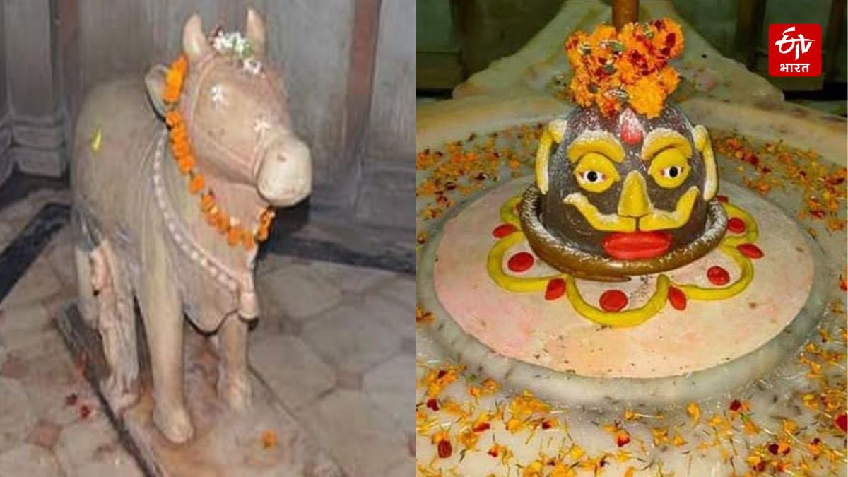 लखीमपुर खीरी के मेंढक मंदिर में नंदी भगवान की खड़े हुए मूर्ति स्थापित है.