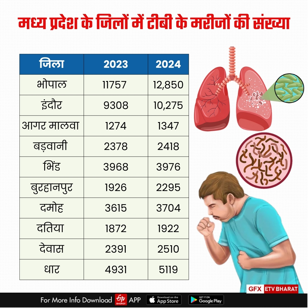 MADHYA PRADESH TB PATIENT STATISTIC