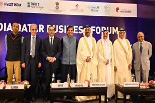 In this image released by @PiyushGoyal via X on Tuesday, Feb. 18, 2025, Union Minister Piyush Goyal with Minister of Commerce and Industry, State of Qatar, Sheikh Faisal bin Thani bin Faisal Al Thani, at the India-Qatar Joint Business Forum in New Delhi.