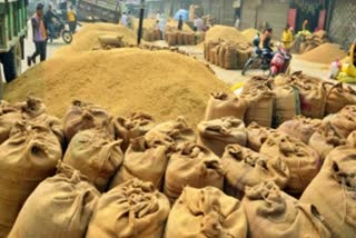 Paddy Procurement In Bihar