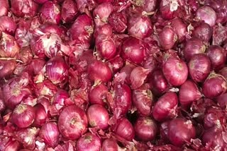 ONION EXPORT DUTY