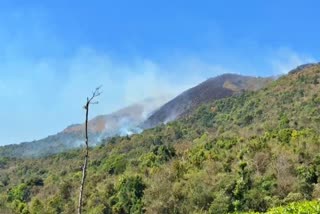 കമ്പമലയിൽ വീണ്ടും തീപിടിത്തം  FOREST FIRE IN MANANTHAVADY WAYANAD  WAYANAD DFO KAMBAMALA FOREST FIRE  LATEST NEWS IN MALAYALAM