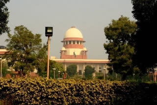 Domestic Violence Act: SC Slams States, UTs For Not Filing Status Reports