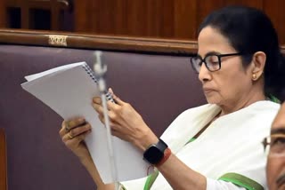 Mamata Banerjee Criticize BJP  മമത ബാനർജി കുംഭ മേള വിമര്‍ശനം  കുംഭ മേള മൃത്യു കുംഭമായി മമത  Mamata Banerjee About Kumbha Mela