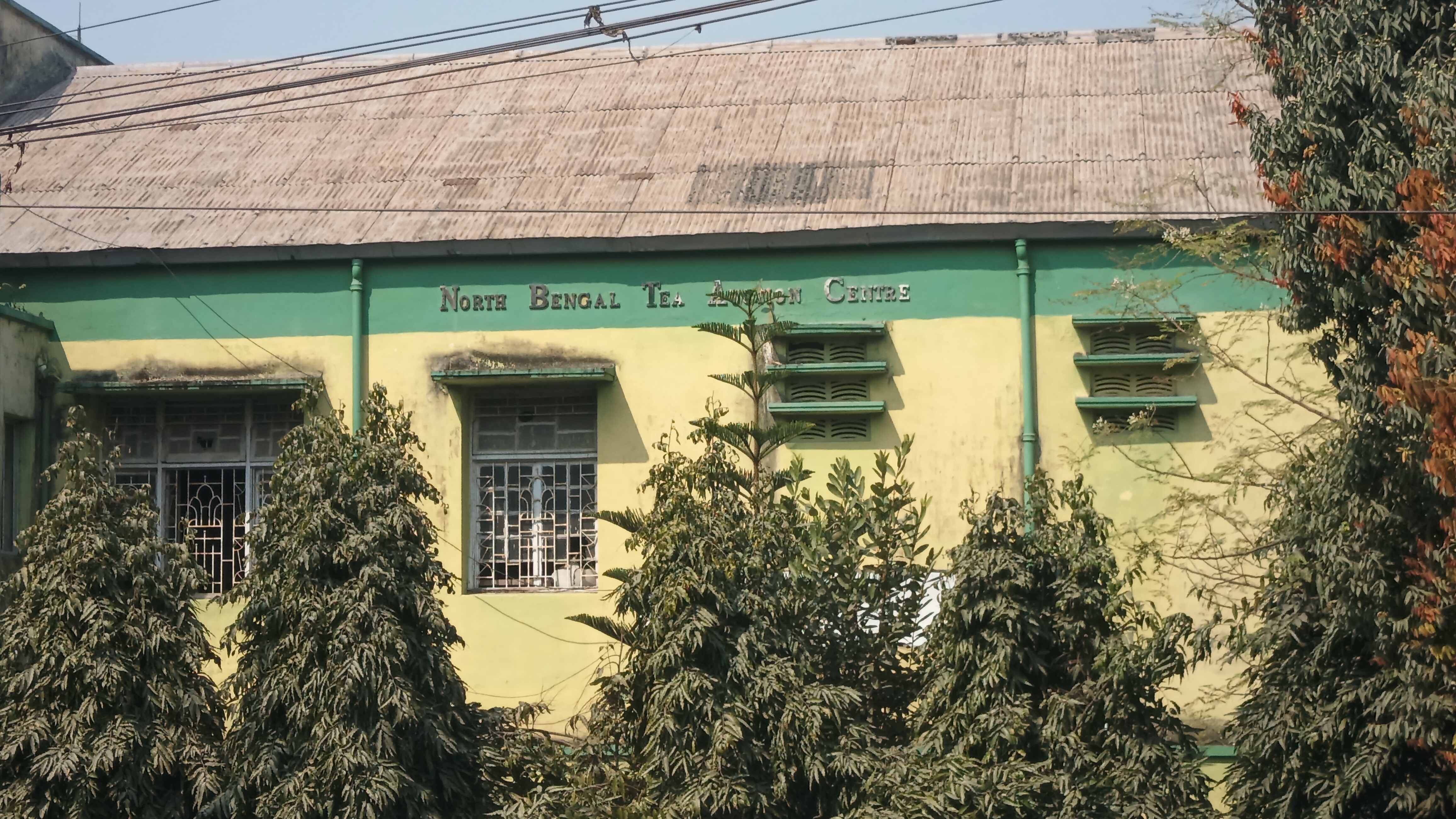 Jalpaiguri Tea Auction Centre