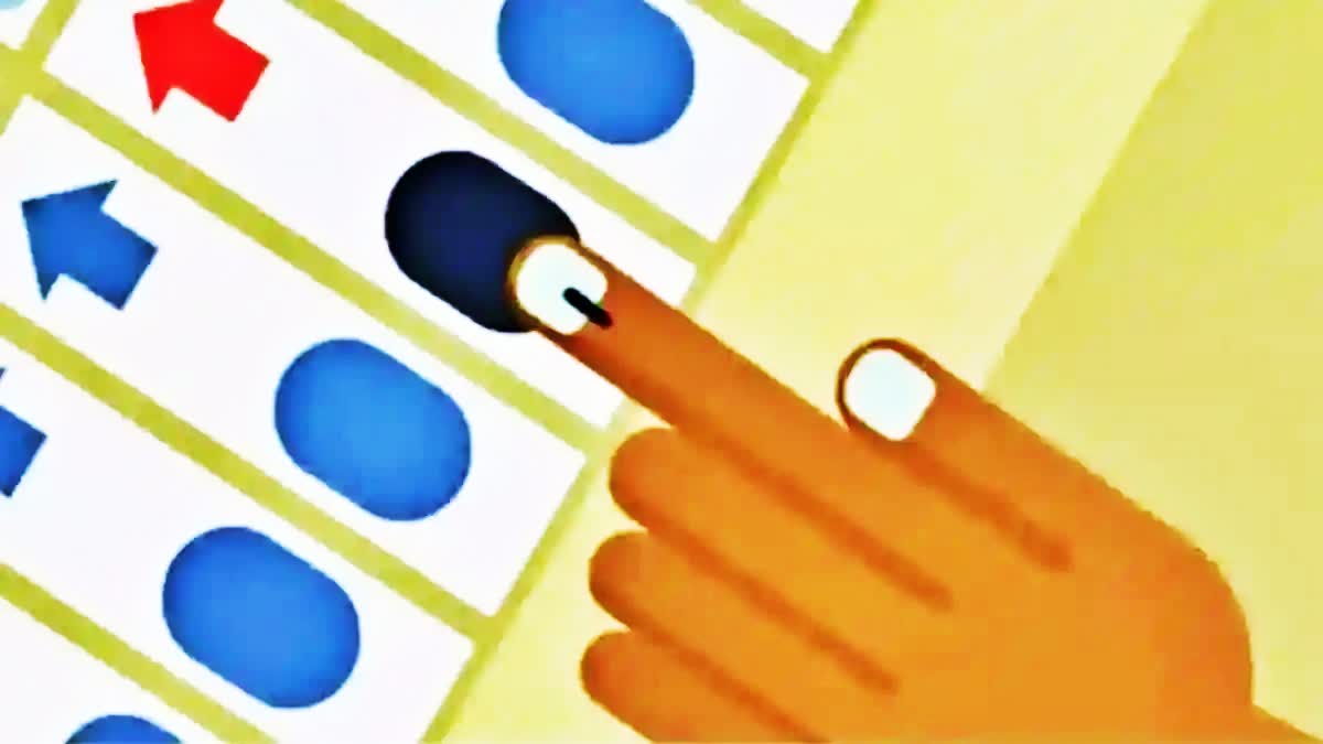 Haryana Lok Sabha Elections 2024