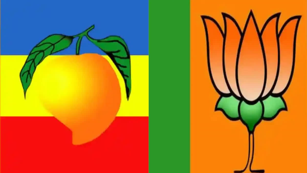 BJP Finalises Deal with PMK in Tamil Nadu