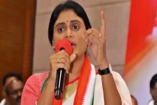 YS_Sharmila_May_Contest_from_kadapa_Lok_Sabha