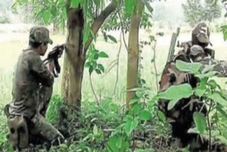 Naxalite couple carrying Rs 7 lakh reward surrender before police in Chhattisgarh