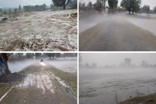 Hailstorm in Gaurela Pendra Marwahi