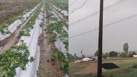 Shahdol Weather Update