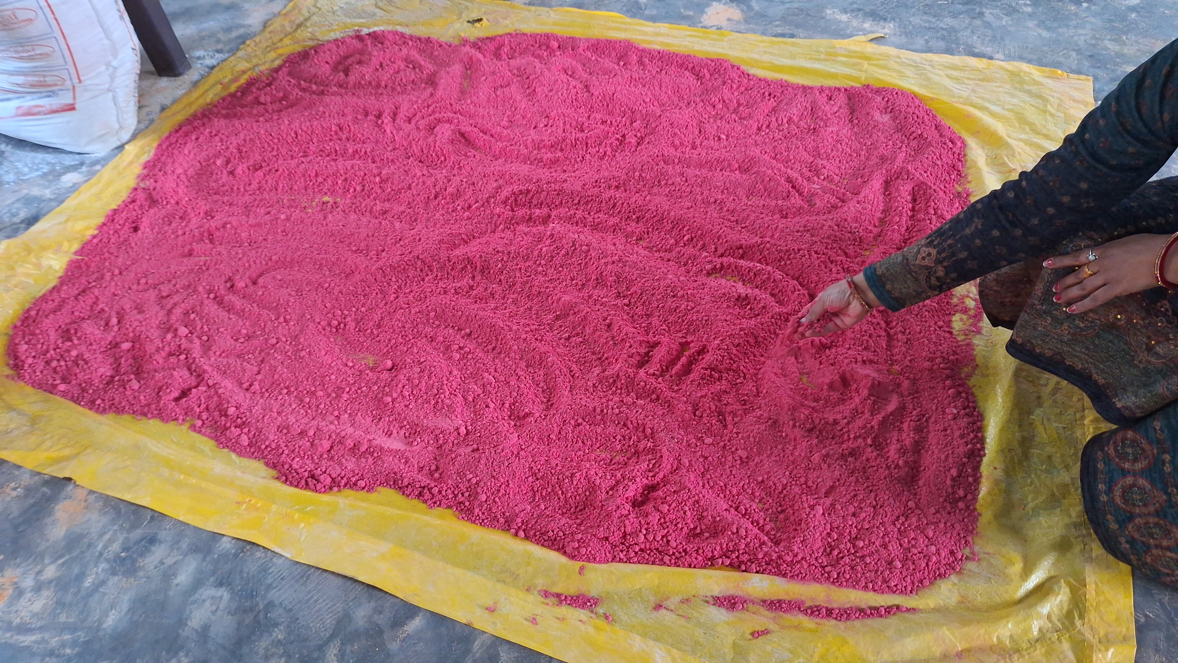 Herbal color production for Holi