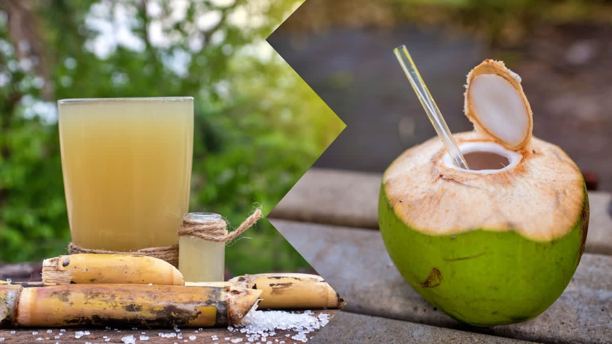 Coconut Water vs. Sugarcane Juice: Which is the Best Summer Drink for  Hydration?