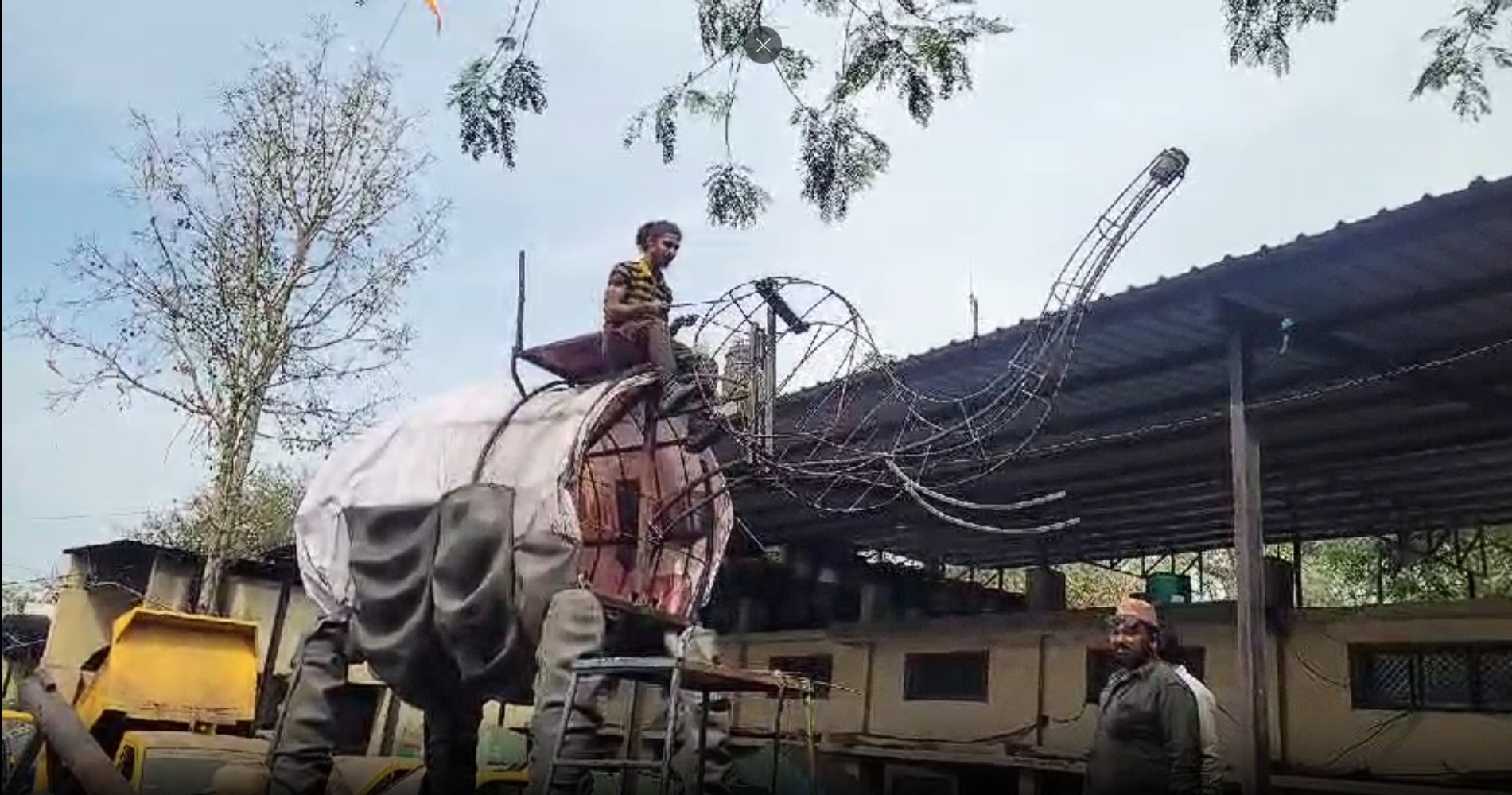 Indore nagar nigam elephant for gair