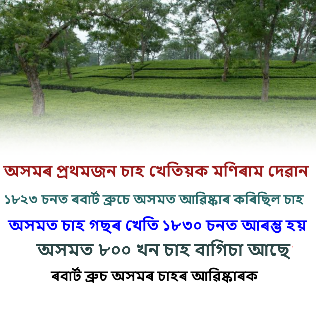 Assam Tea Industry