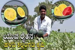 A YOUNG FARMER FROM DHARWAD SUCCEEDED IN FARMING YELLOW WATERMELON