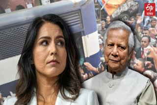 Tulsi Gabbard And Muhammad Yunus