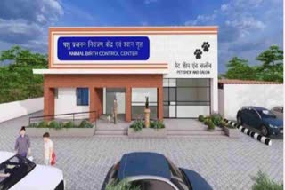 लोगों को मिलेगी आवारा कुत्तों से निजात