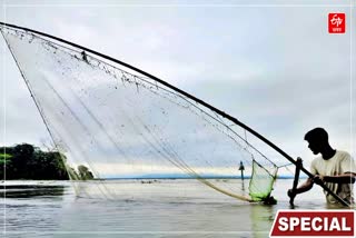 Fish Production In Assam