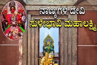Belagavi Coin Temple