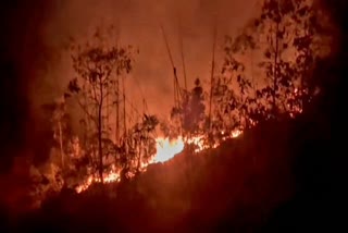 Fire in North Bengal Forest