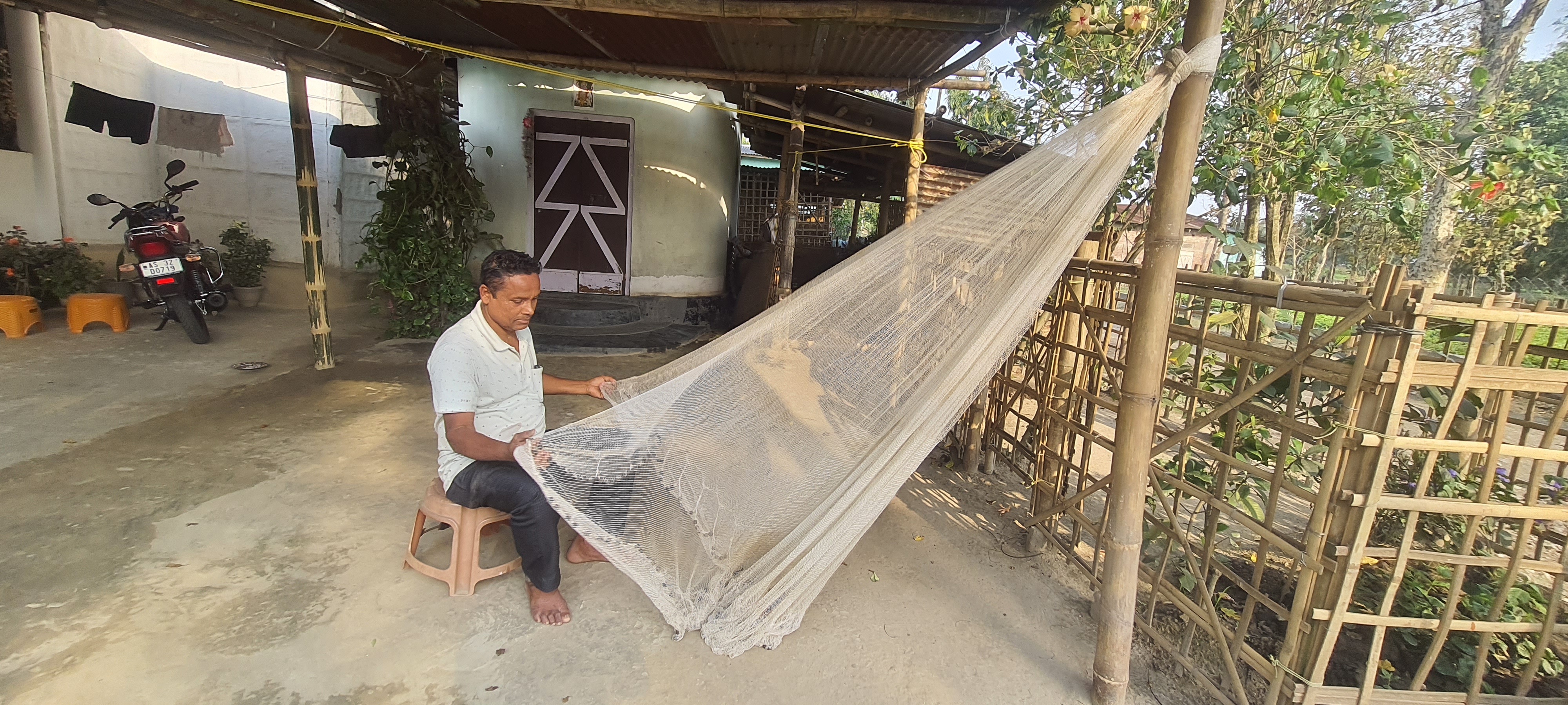 Fish Production In Assam