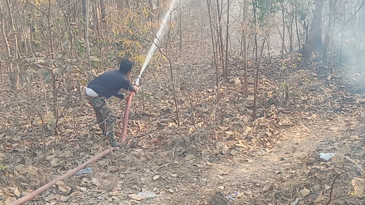 Balaghat fire incident forest