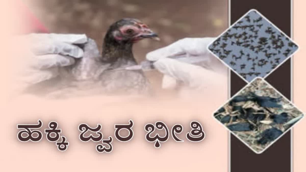 ಕೇರಳದಲ್ಲಿ ಮತ್ತೆ ಹಕ್ಕಿಜ್ವರ ಪತ್ತೆ