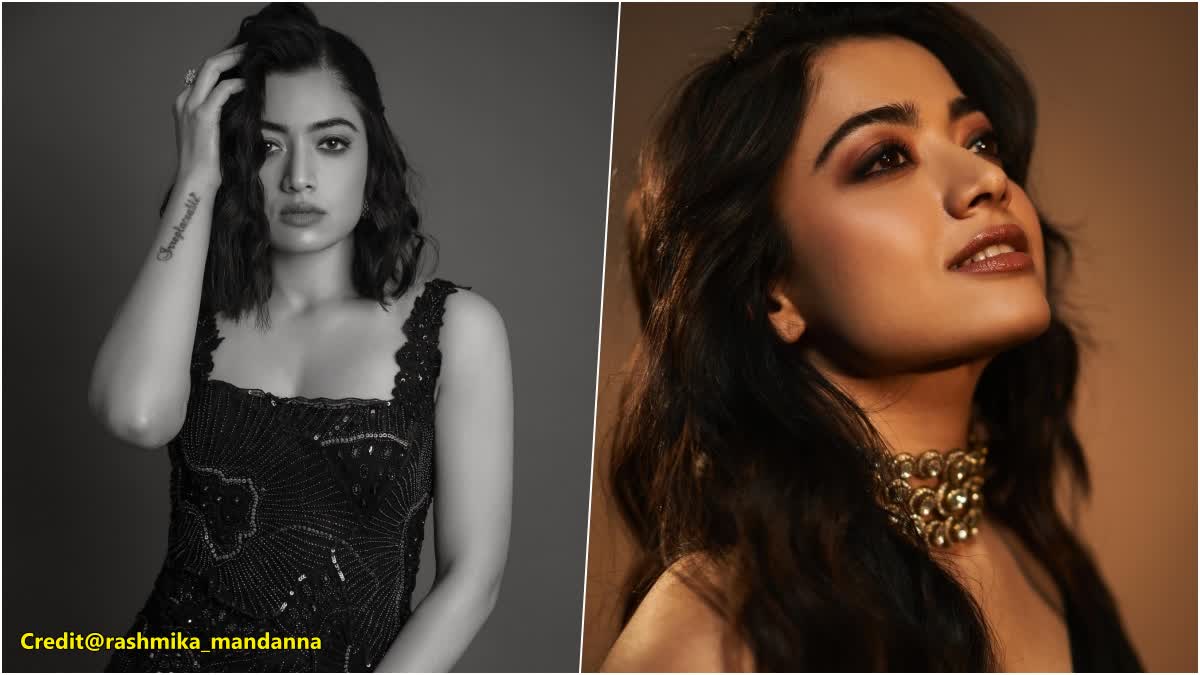 Rashmika Mandanna Latest Pictures