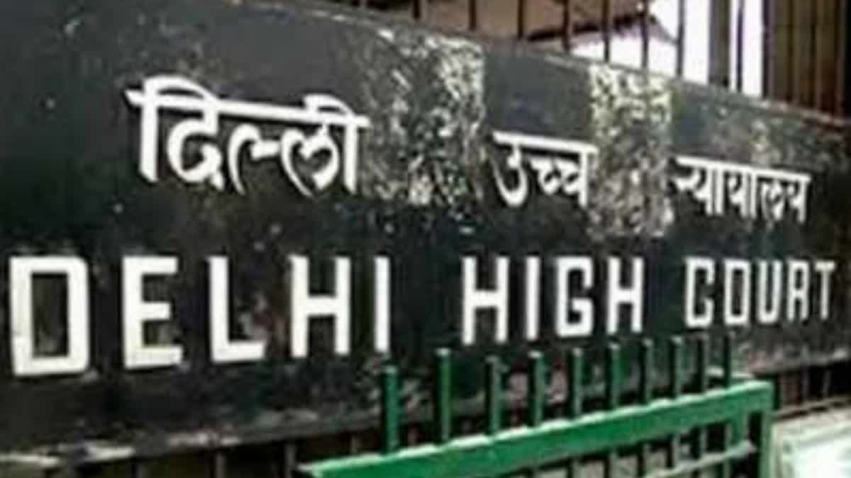 DELHI HIGH COURT  LOVERS SUICIDE CASE
