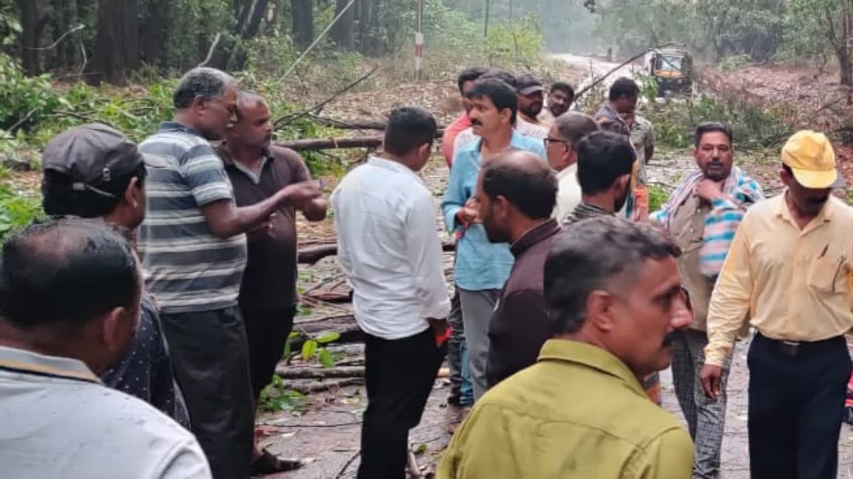 ಚಲಿಸುತ್ತಿದ್ದ ಬೈಕ್ ಮೇಲೆ ಮರ ಬಿದ್ದು ಬೈಕ್ ಸವಾರ ಸಾವು