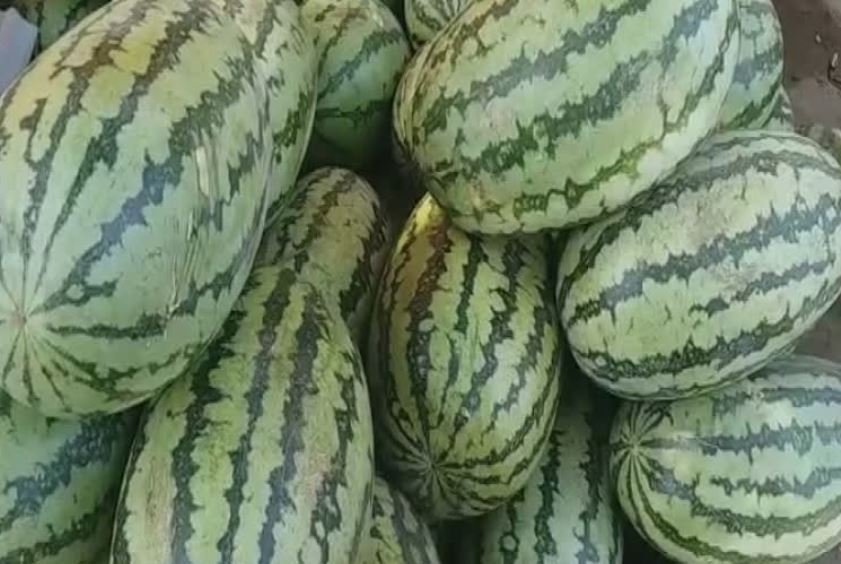 How To Identify Injected Watermelon
