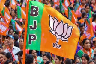 TG BJP Candidates Nominations