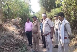 Leopard attacked farmer's animals in Bambhada