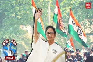 Mamata Banerjee at Raiganj , Mamata Banerjee