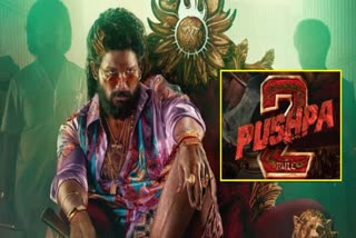 Pushpa 2 Hindi Distribution Rights